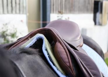 VIP Equestrian Pad
