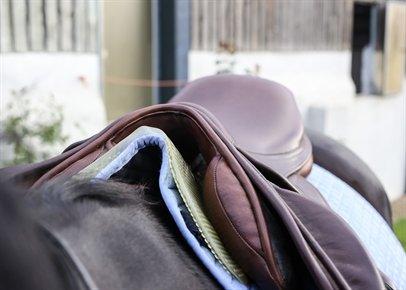 VIP Equestrian Pad