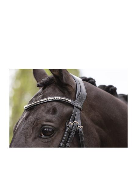 ANKY Trense Med Tilbagetræk